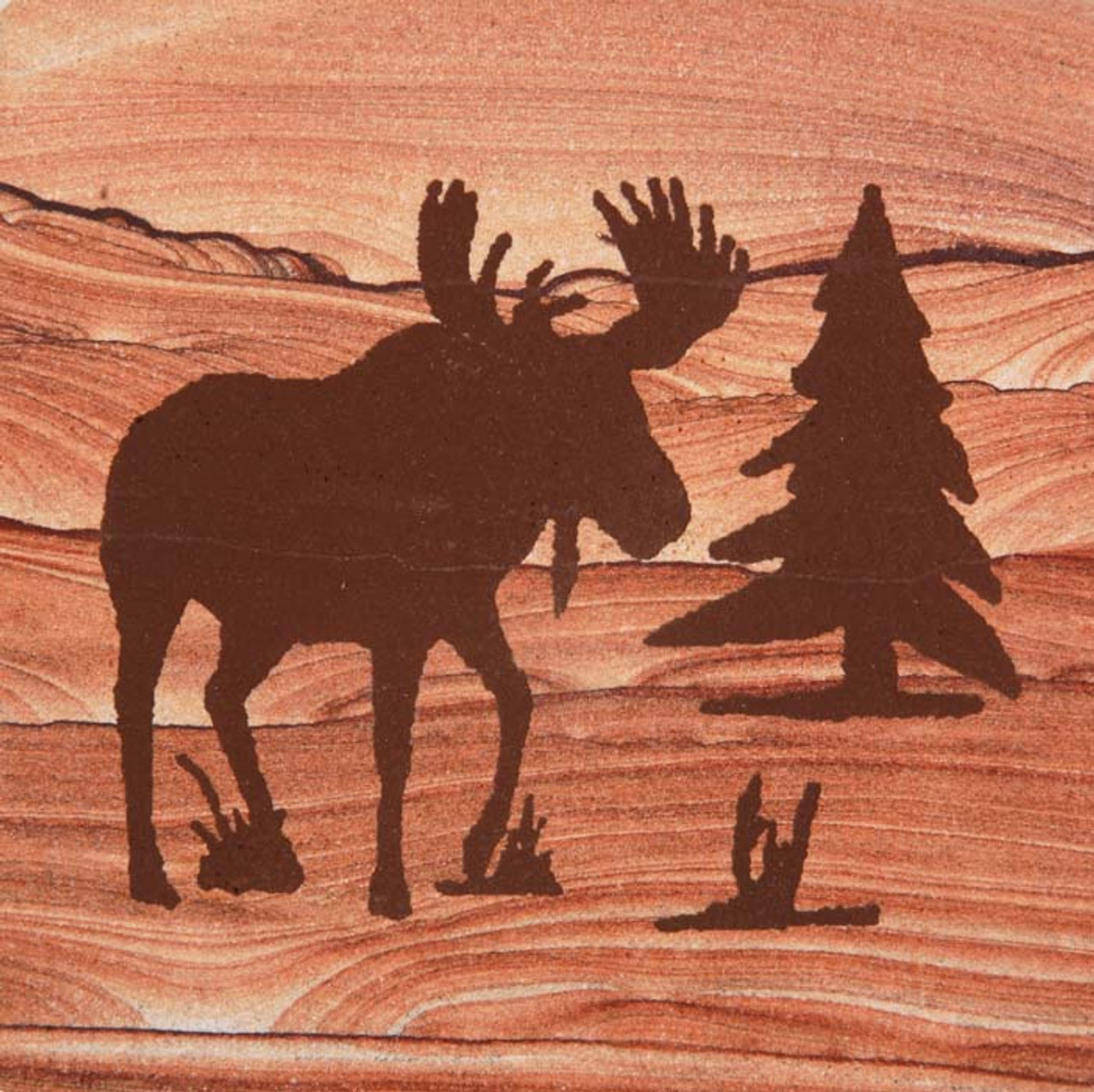 Moose Scene