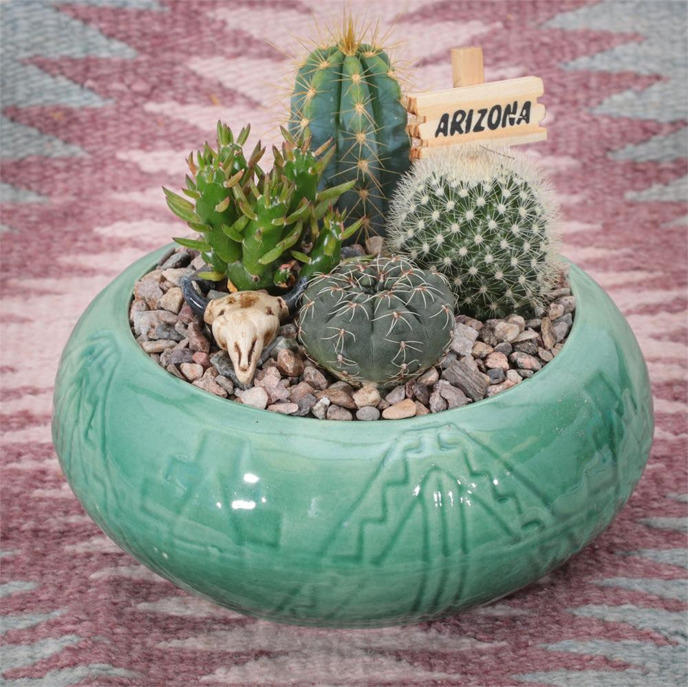 Southwest Cactus Garden - 5 inch - Arizona Gifts