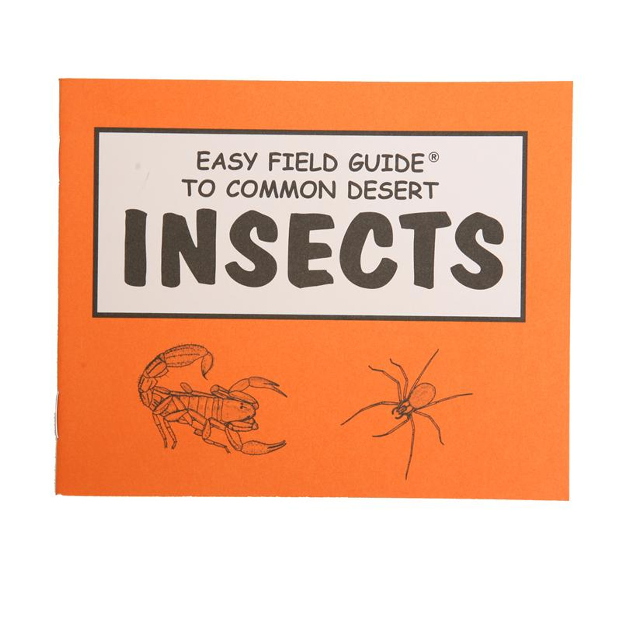 Easy Field Guide - Insects