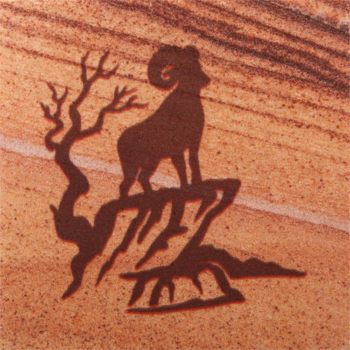 Bighorn Sheep Coasters - Set of 4