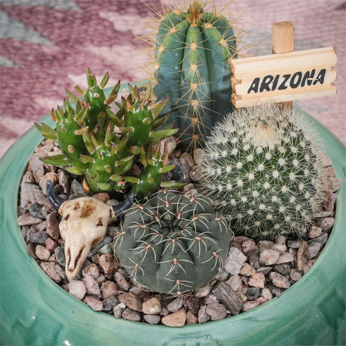 Adobe Cactus Planters - 3.5 inch - Arizona Gifts