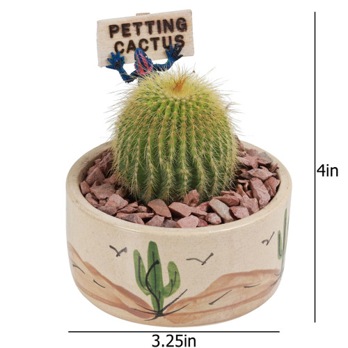 Cactus Gardens Live Cactus Plants, Cactus Kits, Petting Cactus