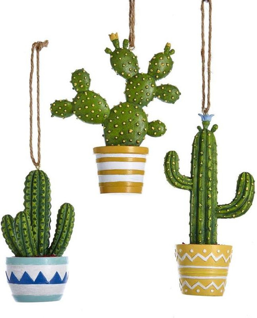 Included in this assortment of succulents is a blue and white pot, a yellow and white striped pot and a yellow and white polka dot pot. Included in this assortment of succulents is a blue and white pot, a yellow and white striped pot and a yellow and white polka dot pot.
