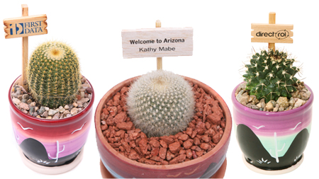 custom live cactus signs