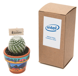 intel-cactusmagnet.jpg
