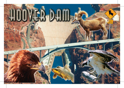 Hoover Dam Postcard - Pack of 100 - Arizona Gifts