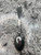 Mount Vernon Sterling Silver Teaspoon Lunt Silver Monogrammed Hallmark