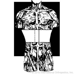 Rib Support - Male