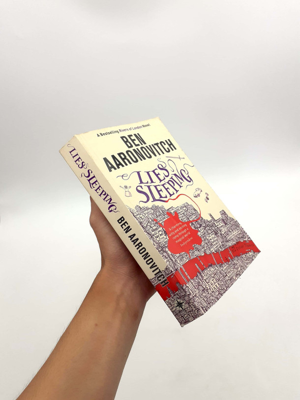 Lies Sleeping Hardcover – November 15, 2018