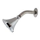  1.75 GPM Earth® Luxe Shower Head in Chrome 
