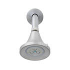  Earth® Luxe Showerhead 