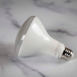  LED BR Lamps 