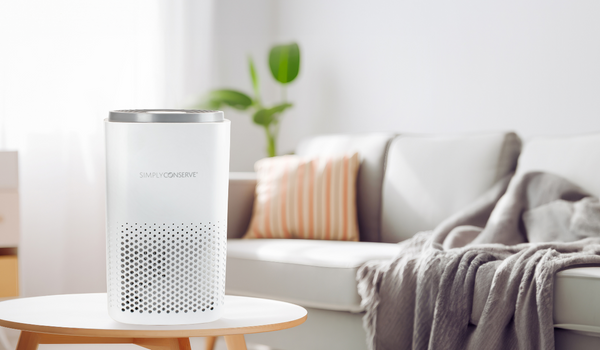  Three Ways an Air Purifier Increases Wellness 