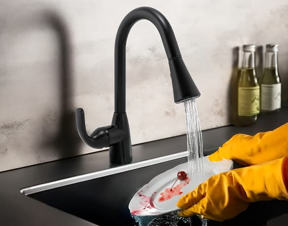 Earth® Luxe Single Handle Pull-Down Kitchen Faucet