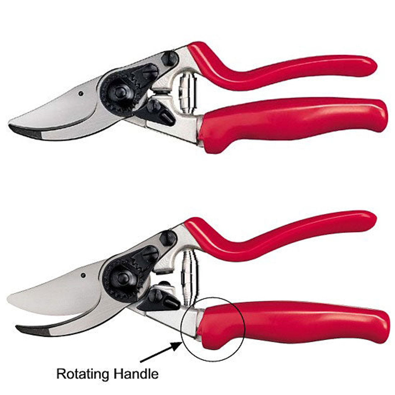 Felco Pruners