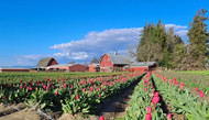 April in Your Greenhouse