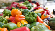 Growing In Your Greenhouse: Peppers