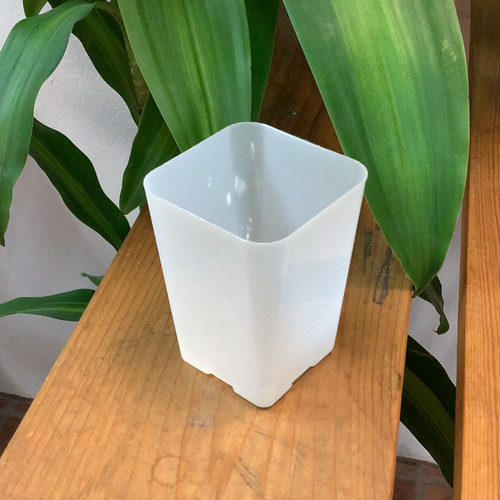 Translucent Square Orchid Pot