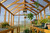 Cedar wood greenhouse kits, Backyard greenhouse