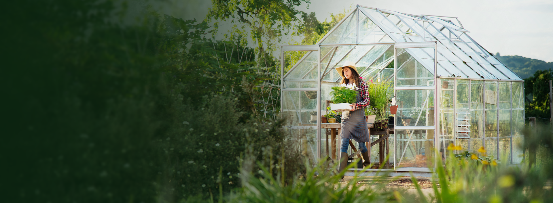 High Quality Greenhouses