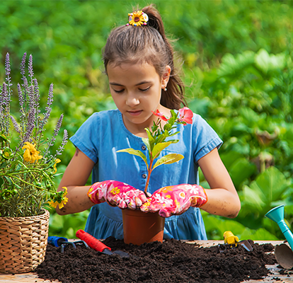 Garden Supplies