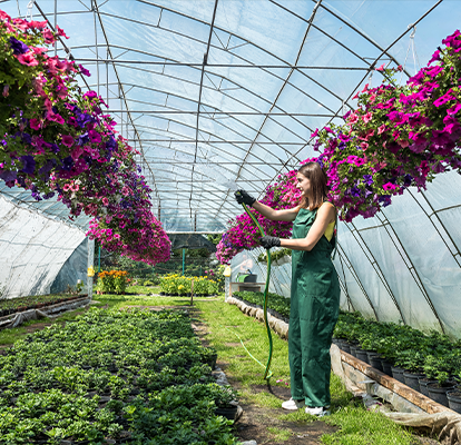 Greenhouses  NW Green Panels