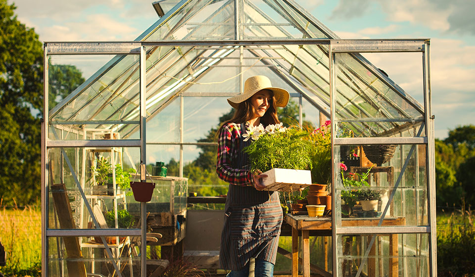 Charley's Greenhouse & Garden