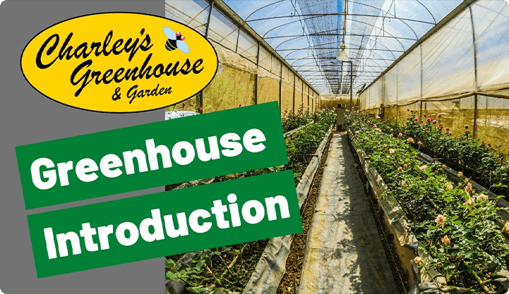 Charley's Greenhouse & Garden