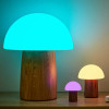 All Sizes Alice Mushroom Lamp with Colors
