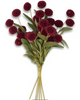 Burgandy Pompom Pick w/Green Eva Leaves Bundle