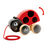 Ladybug Pull Along Toy