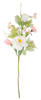 Spring Time Spray