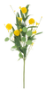 Yellow Pom Pom Spray