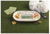 Divided Football Field Platter Set