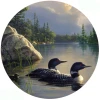 Gathering Storm Loons Jar Opener