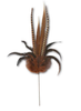 Mixed Pheasant Feather Spray