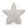 Amuseables Silver Star (2026)