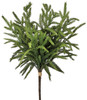 Norfolk Pine Bundle