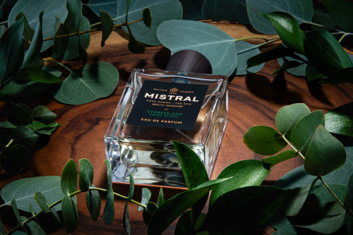 Mistral's Cypress Oak Eau de Parfum for Men