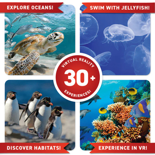 Oceans Virtual Reality Gift Set