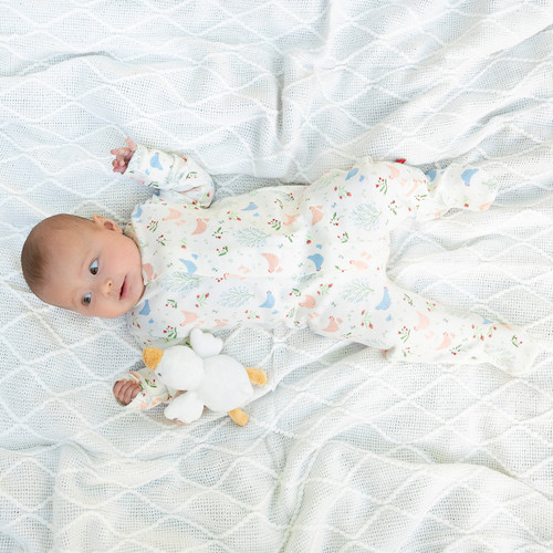 Chicken Tender Organic Cotton Magnetic Footie