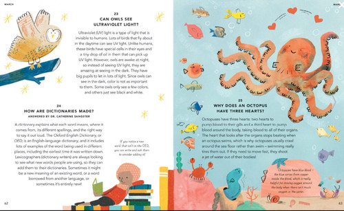 Everything Under the Sun Book