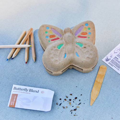 Curious Critter - Butterfly Coloring Activity Kit