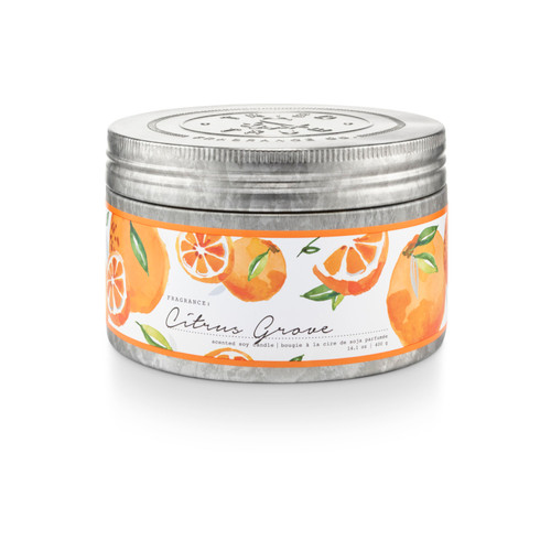 Tried and True Citrus Grove Large Tin Candle