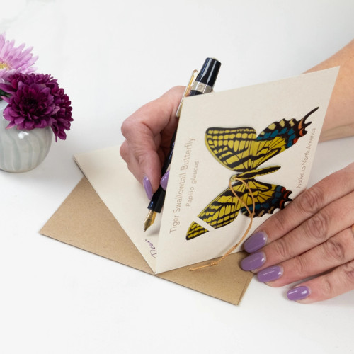Tiger Swallowtail Butterfly Bronze Ornament and Notecard