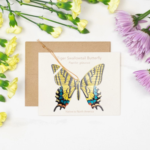 Tiger Swallowtail Butterfly Bronze Ornament and Notecard