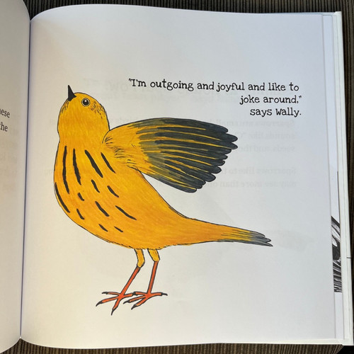 Little Birdie Buddies of Minnesota