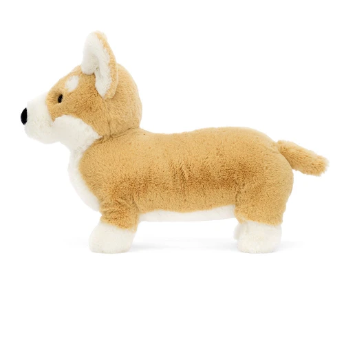 Betty Corgi | Side