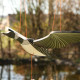 Flying Mobile - Loon