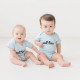 Loon Family Onesie